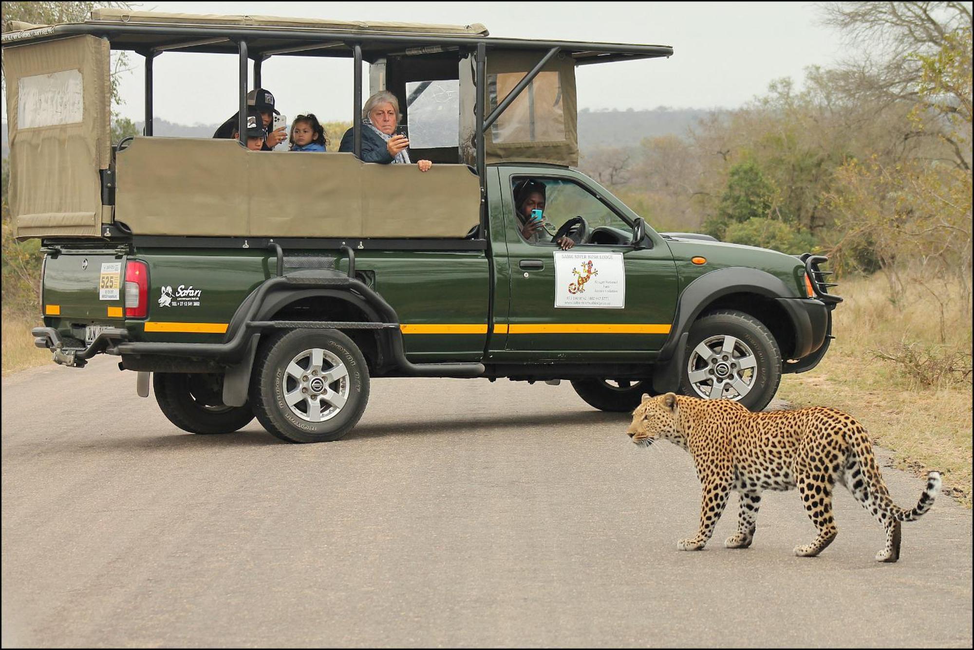 Sabie River Bush Lodge Hazyview Exteriér fotografie